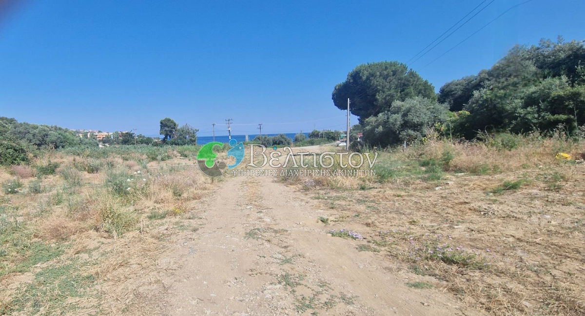 property-img
